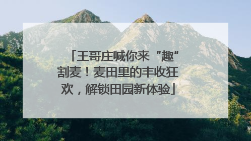 王哥庄喊你来“趣”割麦！麦田里的丰收狂欢，解锁田园新体验