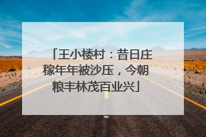 王小楼村：昔日庄稼年年被沙压，今朝粮丰林茂百业兴