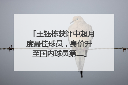 王钰栋获评中超月度最佳球员，身价升至国内球员第二