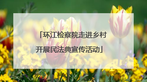 环江检察院走进乡村开展民法典宣传活动