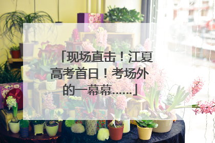 现场直击！江夏高考首日！考场外的一幕幕……
