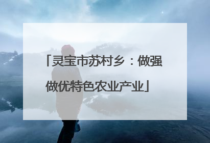 灵宝市苏村乡：做强做优特色农业产业