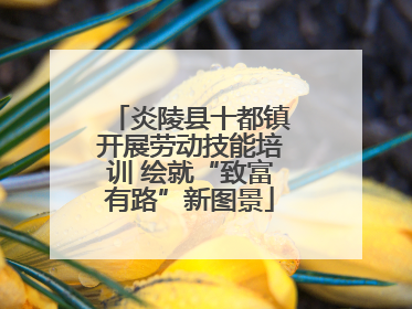 炎陵县十都镇开展劳动技能培训 绘就“致富有路”新图景