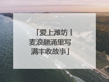 爱上潍坊丨麦浪翻涌里写满丰收故事