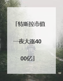 特斯拉市值一夜大涨4000亿