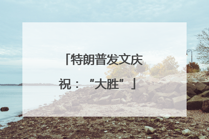特朗普发文庆祝：“大胜”
