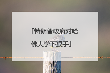 特朗普政府对哈佛大学下狠手