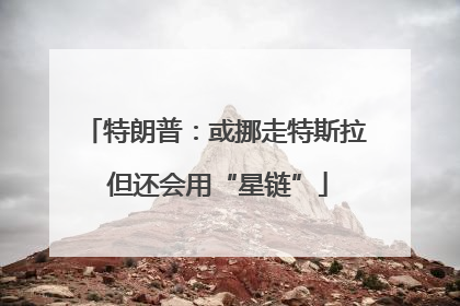 特朗普：或挪走特斯拉 但还会用“星链”