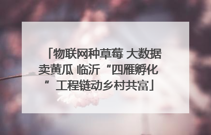 物联网种草莓 大数据卖黄瓜 临沂“四雁孵化”工程链动乡村共富