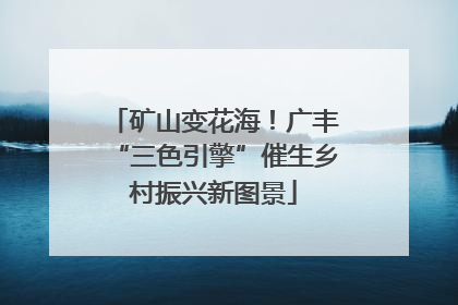 矿山变花海！广丰“三色引擎”催生乡村振兴新图景