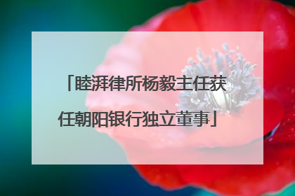 睦湃律所杨毅主任获任朝阳银行独立董事