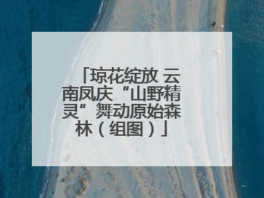 琼花绽放 云南凤庆“山野精灵”舞动原始森林（组图）
