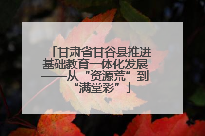 甘肃省甘谷县推进基础教育一体化发展——从“资源荒”到“满堂彩”