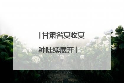 甘肃省夏收夏种陆续展开