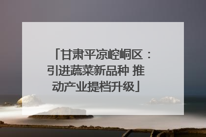 甘肃平凉崆峒区：引进蔬菜新品种 推动产业提档升级