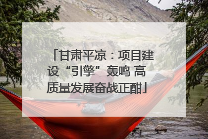 甘肃平凉：项目建设“引擎”轰鸣 高质量发展奋战正酣