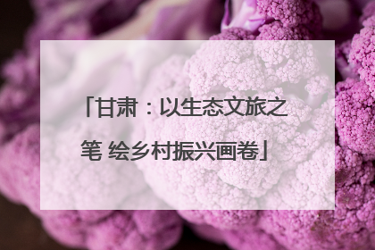 甘肃：以生态文旅之笔 绘乡村振兴画卷