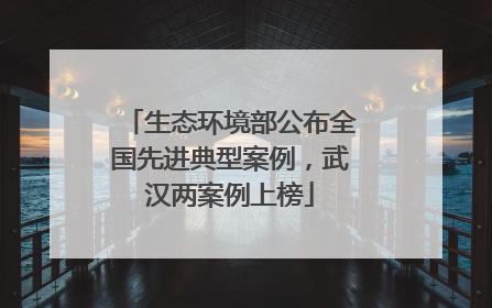 生态环境部公布全国先进典型案例，武汉两案例上榜