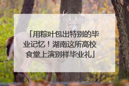 用粽叶包出特别的毕业记忆！湖南这所高校食堂上演别样毕业礼