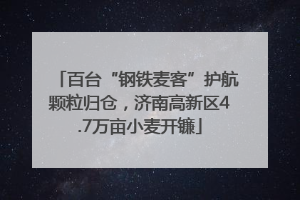 百台“钢铁麦客”护航颗粒归仓，济南高新区4.7万亩小麦开镰