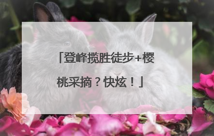 登峰揽胜徒步+樱桃采摘？快炫！
