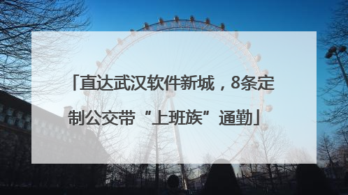 直达武汉软件新城，8条定制公交带“上班族”通勤