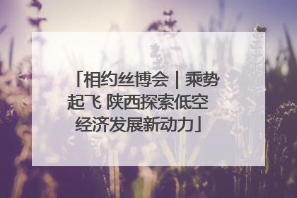 相约丝博会｜乘势起飞 陕西探索低空经济发展新动力