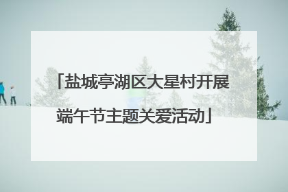 盐城亭湖区大星村开展端午节主题关爱活动