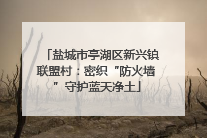 盐城市亭湖区新兴镇联盟村：密织“防火墙”守护蓝天净土