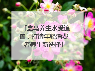 盒马养生水受追捧，打造年轻消费者养生新选择