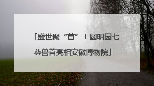 盛世聚“首”！圆明园七尊兽首亮相安徽博物院