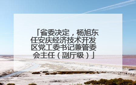 省委决定，杨旭东任安庆经济技术开发区党工委书记兼管委会主任（副厅级）