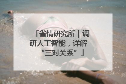 省情研究所｜调研人工智能，详解“三对关系”