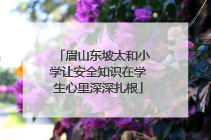 眉山东坡太和小学让安全知识在学生心里深深扎根