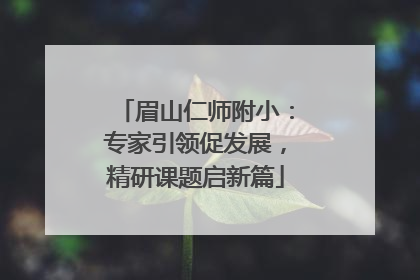 眉山仁师附小：专家引领促发展，精研课题启新篇
