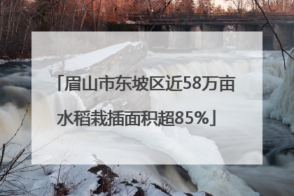 眉山市东坡区近58万亩水稻栽插面积超85%