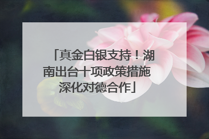 真金白银支持！湖南出台十项政策措施深化对德合作
