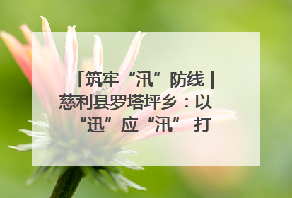 筑牢“汛”防线｜慈利县罗塔坪乡：以“迅”应“汛” 打赢暴雨防御战