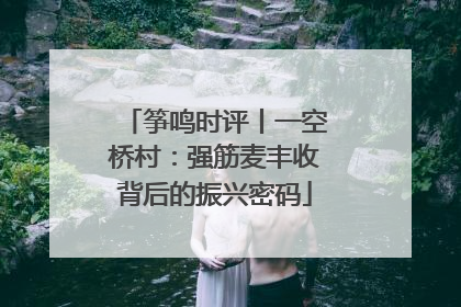 筝鸣时评丨一空桥村：强筋麦丰收背后的振兴密码