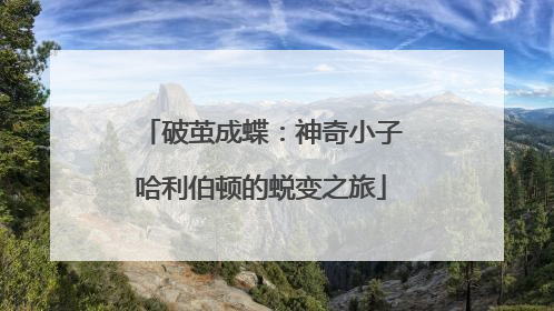 破茧成蝶：神奇小子哈利伯顿的蜕变之旅