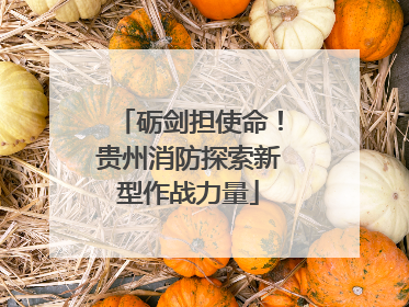 砺剑担使命！贵州消防探索新型作战力量