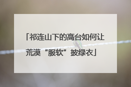 祁连山下的高台如何让荒漠“服软”披绿衣
