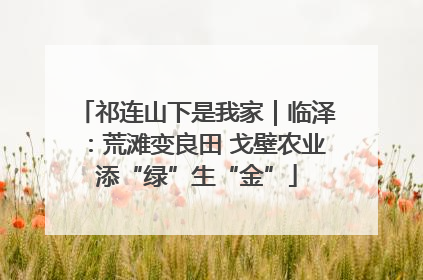 祁连山下是我家｜临泽：荒滩变良田 戈壁农业添“绿”生“金”