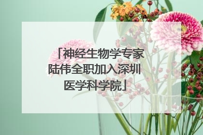 神经生物学专家陆伟全职加入深圳医学科学院