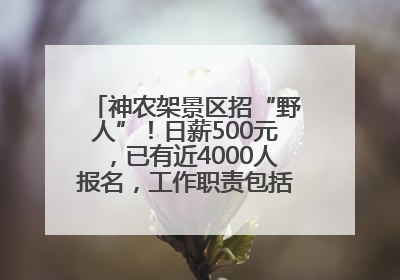 神农架景区招“野人”！日薪500元，已有近4000人报名，工作职责包括“接受游客投喂”