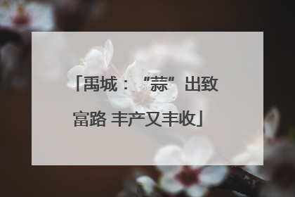 禹城：“蒜”出致富路 丰产又丰收