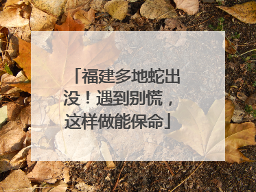 福建多地蛇出没！遇到别慌，这样做能保命