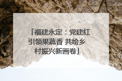 福建永定：党建红引领果蔬香 共绘乡村振兴新画卷