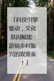 科技引擎驱动，文化基因赋能：游仙乡村振兴的双重奏！