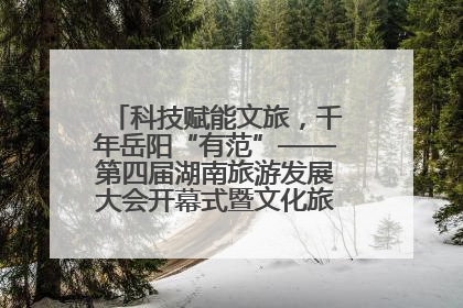 科技赋能文旅，千年岳阳“有范”——第四届湖南旅游发展大会开幕式暨文化旅游推介会侧记